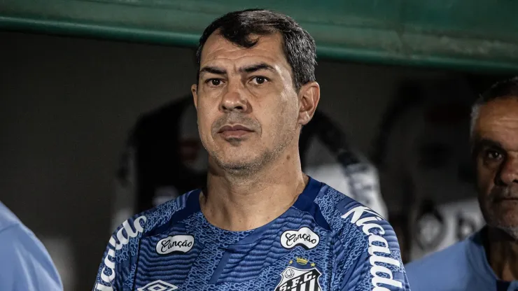 Fábio Carille recebe informação sobre futuro no Santos após desempenho abaixo da equipe
