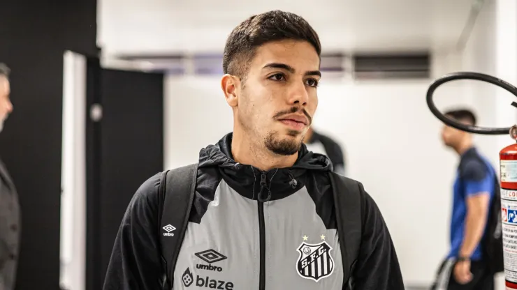 Nonato pode ajudar o Santos na reta final do Brasileirão. Raul Baretta/Santos FC
