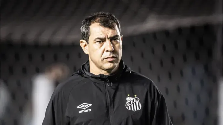 Foto: Raul Baretta/ Santos FC - Fábio Carille, técnico do Santos
