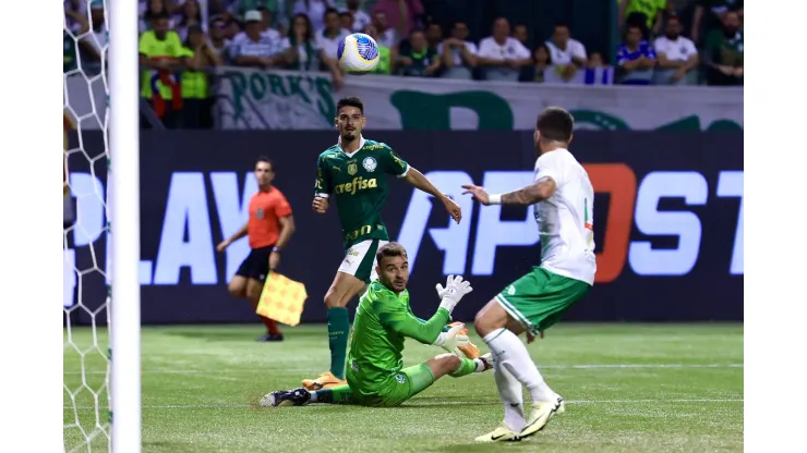 Associated Press / Alamy Stock Photo | Juventude e Palmeiras se enfrentam pela 30ª rodada do Brasileirão
