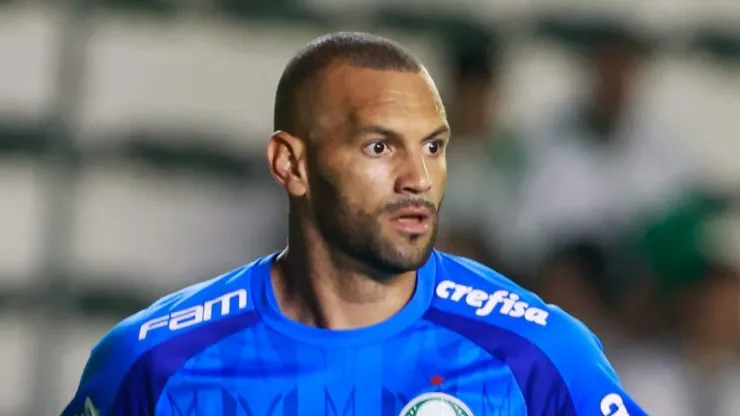 Foto: Luiz Erbes/AGIF - Weverton em jogo pelo Palmeiras