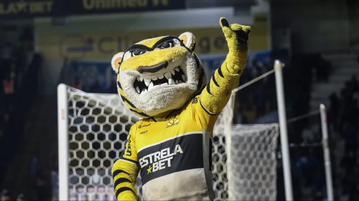 Mascote do Criciúma em partida do Brasileirão
