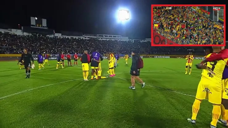 Así celebró el Deportivo Pereira la histórica clasificación en Copa Libertadores