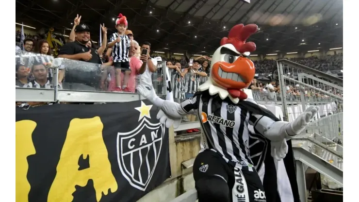 Galo
