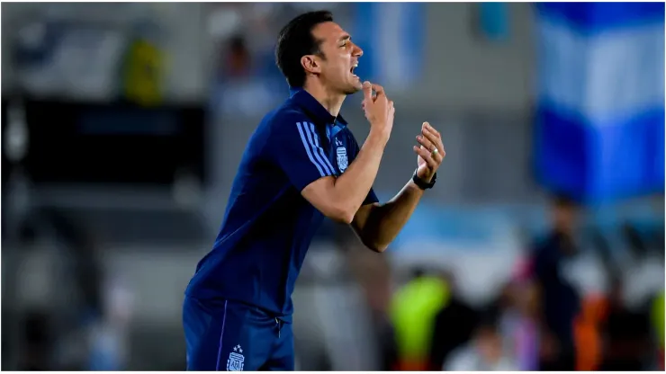 Lionel Scaloni coach of Argentina
