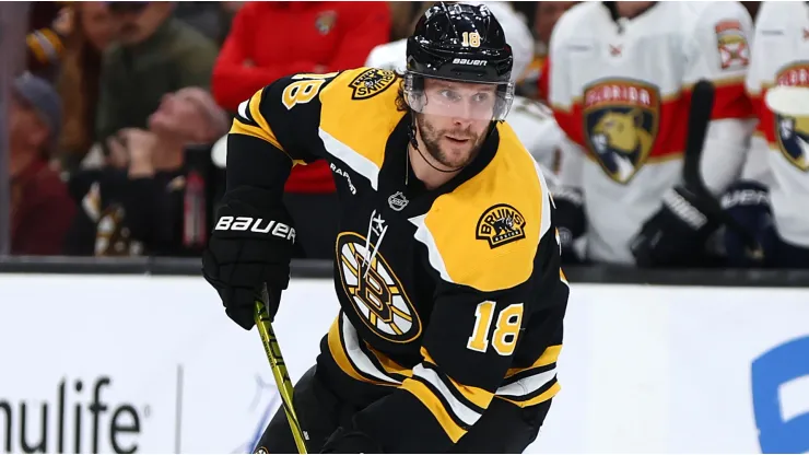 Pavel Zacha #18 of the Boston Bruins skates against the Florida Panthers during the third period at TD Garden on October 14, 2024 in Boston, Massachusetts.
