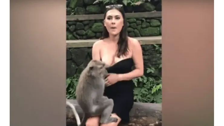 Video viral: un mono diabólico le bajó el vestido a una turista