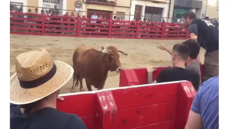 Foto del Toro y el hombre.
