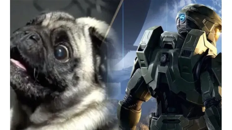 ¡No podemos más! En HALO Infinite contrataron un perro para hacer los efectos de sonido alienígena