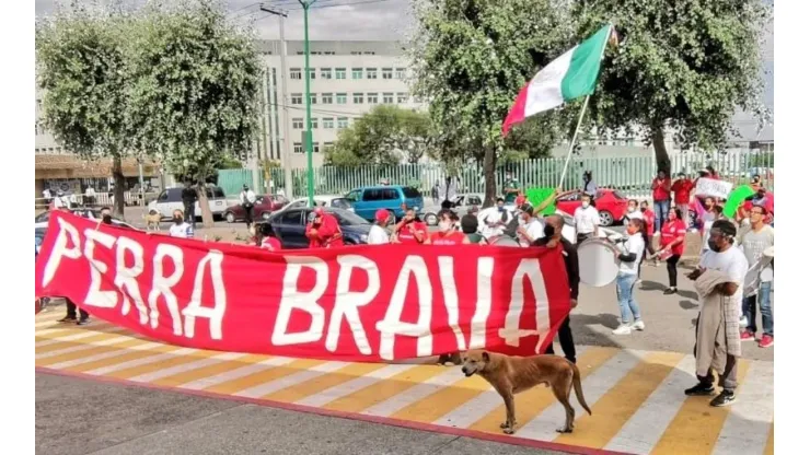 ¡Enorme! El gesto de la Perra Brava con personal médico de Toluca