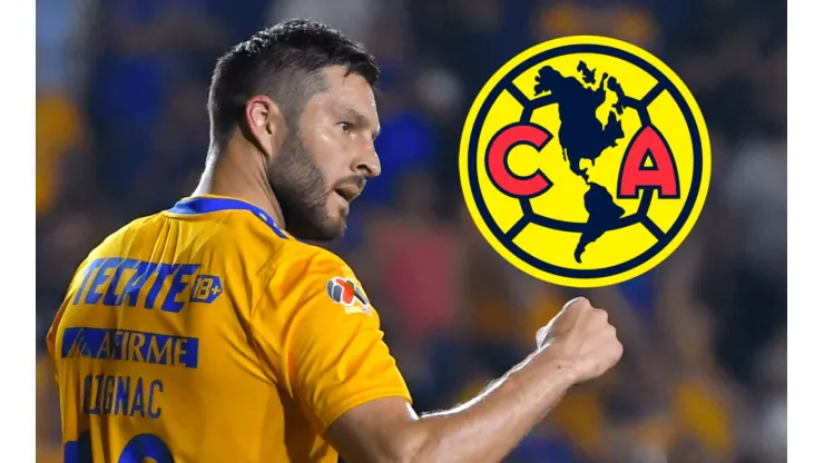 Gignac confesó admirar a un ex América y actual Selección Mexicana.
