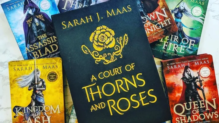 The Throne of Glass miniature character collection and the Court of Thorns.
