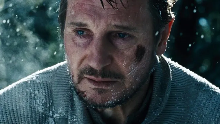 Liam Neeson in "The Grey". 
