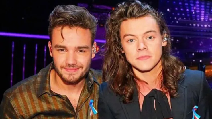 Liam Payne and Harry Styles
