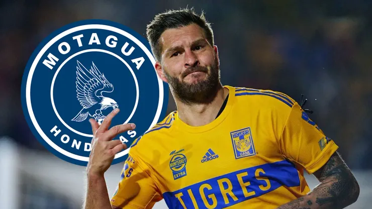 El valor de André-Pierre Gignac según Transfermarkt