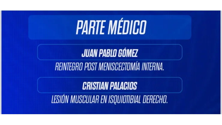 El estado de las lesiones azules. (Foto: Universidad de Chile).