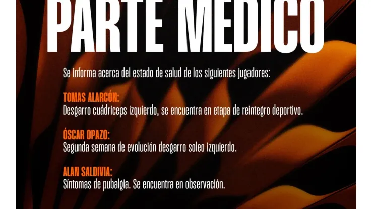 Imagen: Colo Colo