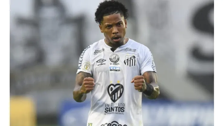 Foto: Ivan Storti/Santos FC
