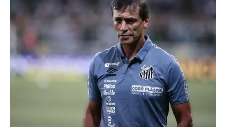 © Ettore Chiereguini/AGIFTécnico Fabián Bustos, do Santos, aprovou nomes cogitados pela diretoria
