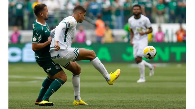 Palmeiras v Goias - Brasileirao 2022
