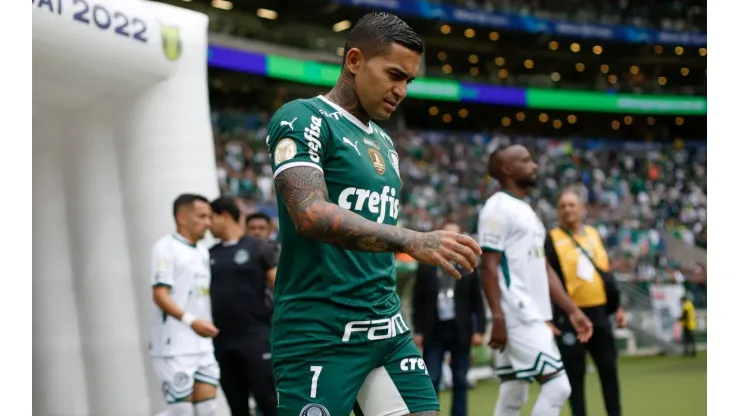 Palmeiras v Goias - Brasileirao 2022
