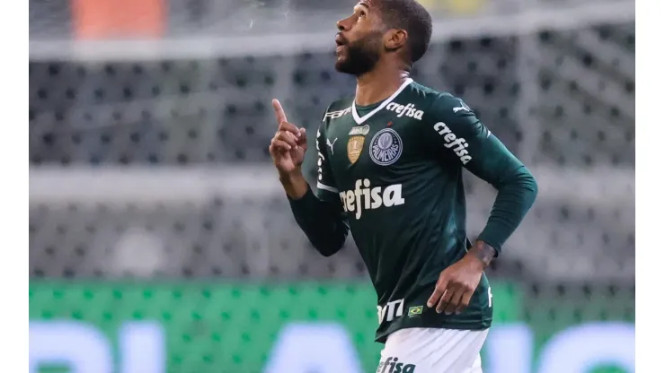 Palmeiras v Botafogo - Brasileirao 2022
