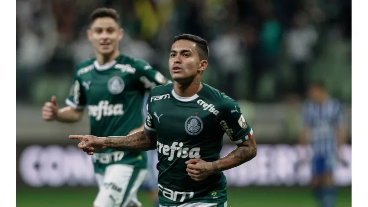 Palmeiras v Godoy Cruz - Copa CONMEBOL Libertadores 2019
