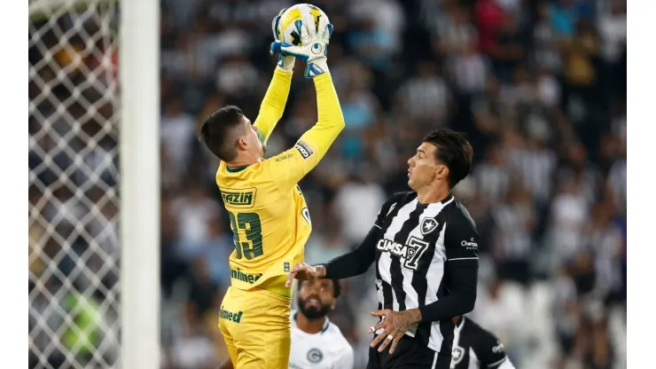 Botafogo v Goias - Brasileirao 2022
