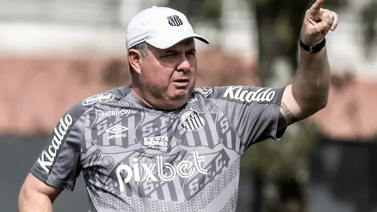 Marcelo Fernandes: técnico tem novidade no Santos (Foto: Ivan Storti/Santos FC/Divulgação)
