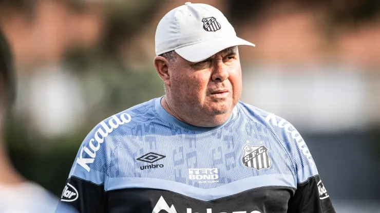 Marcelo Fernandes: técnico confirmou novidade no Peixe (Foto: Raul Baretta/ Santos FC./Divulgação)
