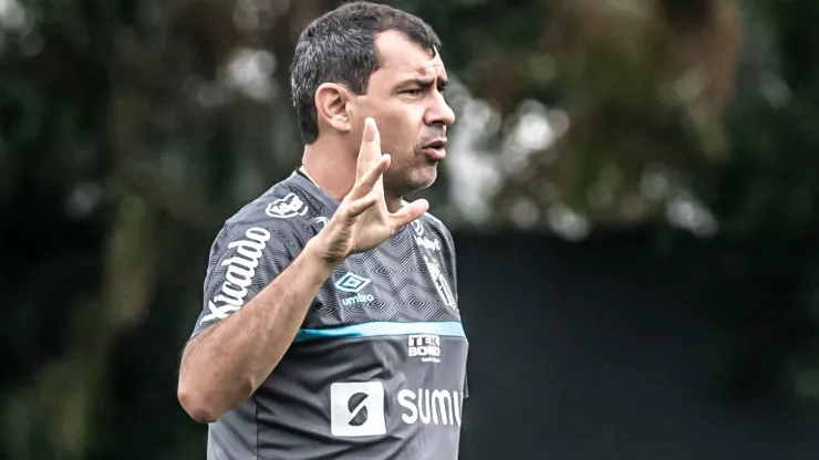 Carille: técnico é peça-chave em negócios do Santos (Foto: Ivan Storti/Santos FC/Divulgação)
