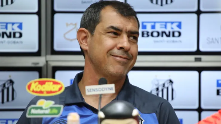 Carille: técnico está confiante em evolução do Santos (Foto: Pedro Ernesto Guerra Azevedo/Santos FC/Divulgação)
