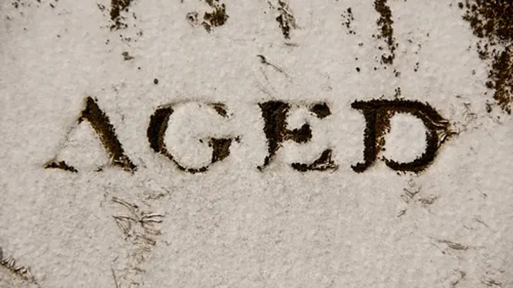 Aged The marks we make in stone gradually fade away. (8502) aged
