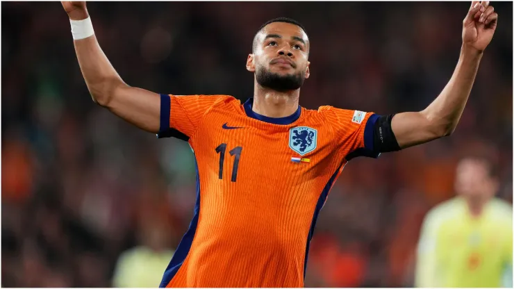 Cody Gakpo of Netherlands