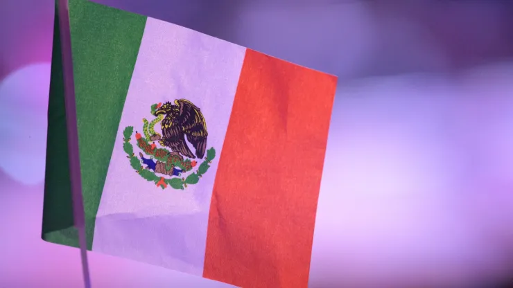 Mexico Flag