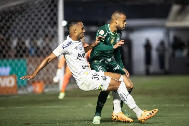 Foto: Abner Dourado/AGIF – Lucas Braga se lesionou contra o Palmeiras, na Vila Belmiro.