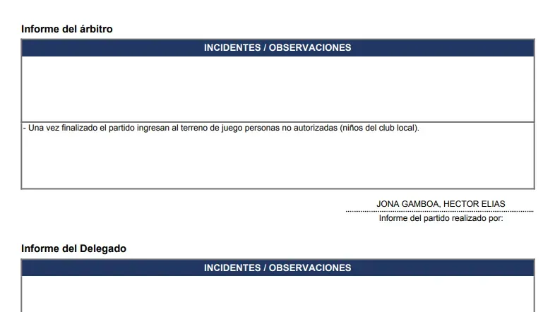 Extracto del informe de Héctor Jona.