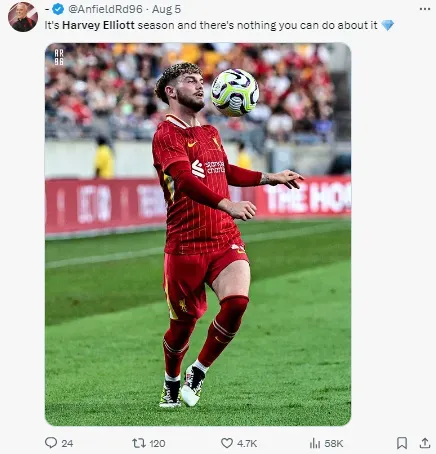 Liverpool fans feel Harvey Elliott will have a good season.