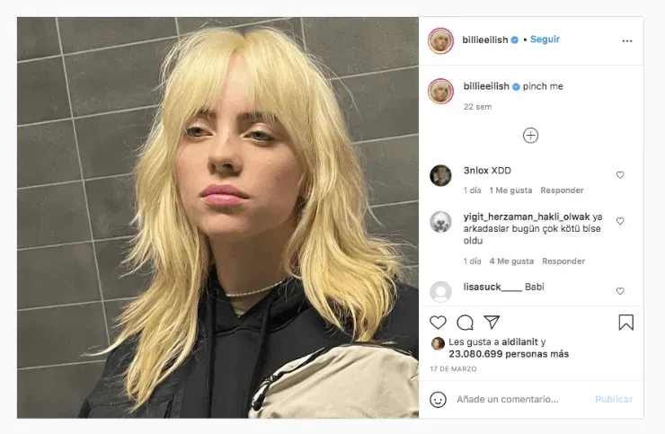 Selfie récord de Billie Eilish  (Fuente: Instagram)