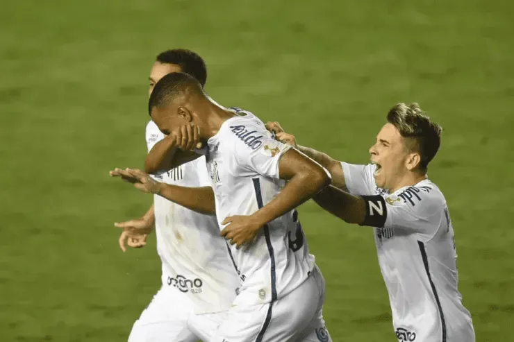 Foto: Ivan Storti/Santos FC 