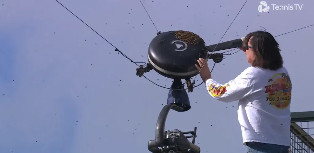 El apicultor en acción. (Foto: Tennis TV)