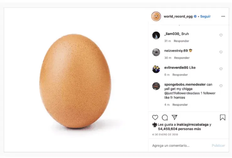 El huevo récord (Fuente: @world_record_egg)