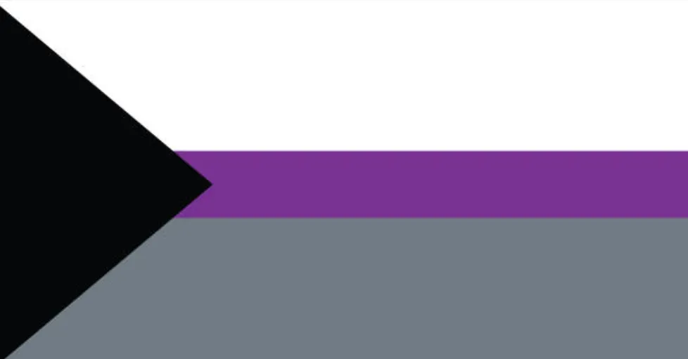 Bandera Demisexual