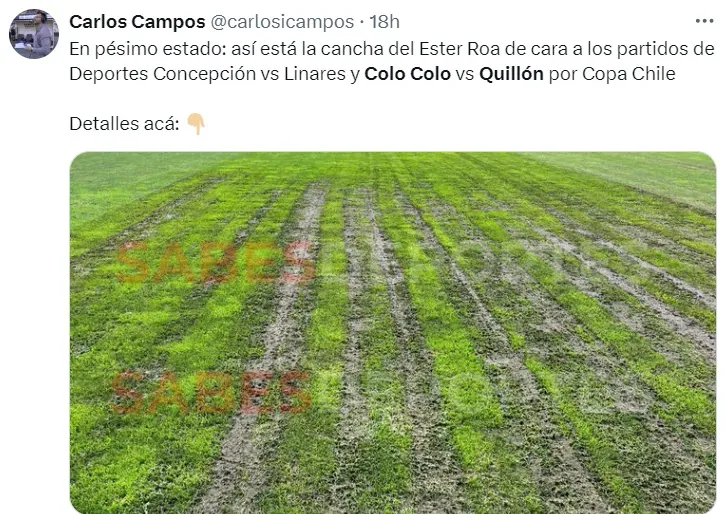 La cancha del Ester Roa: Colo Colo contras Quillón no se puede jugar hasta el domingo y se espera nueva reprogramación.