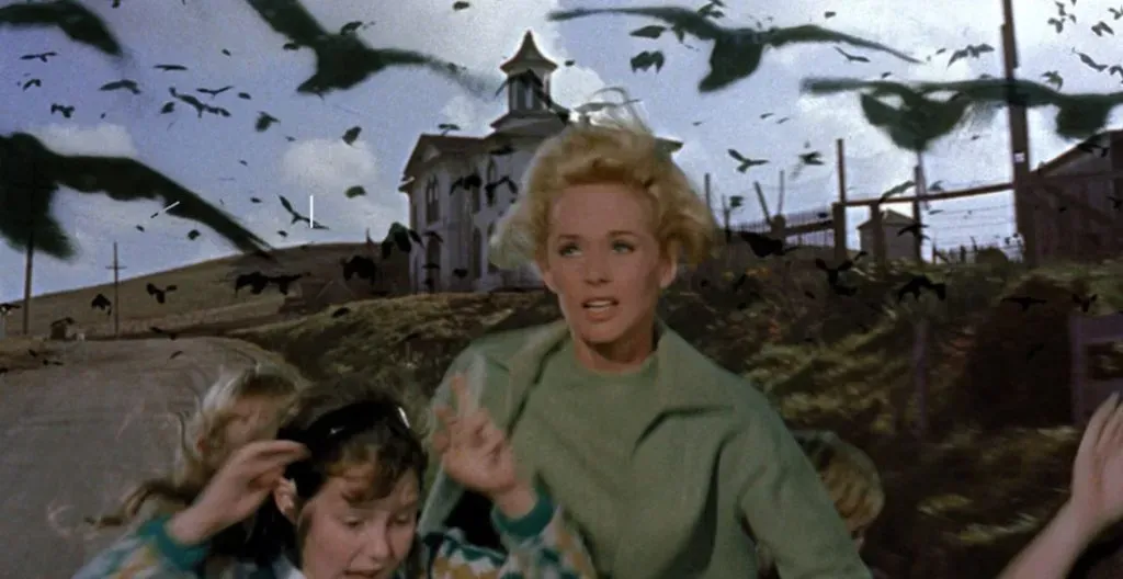 Source: MUBI