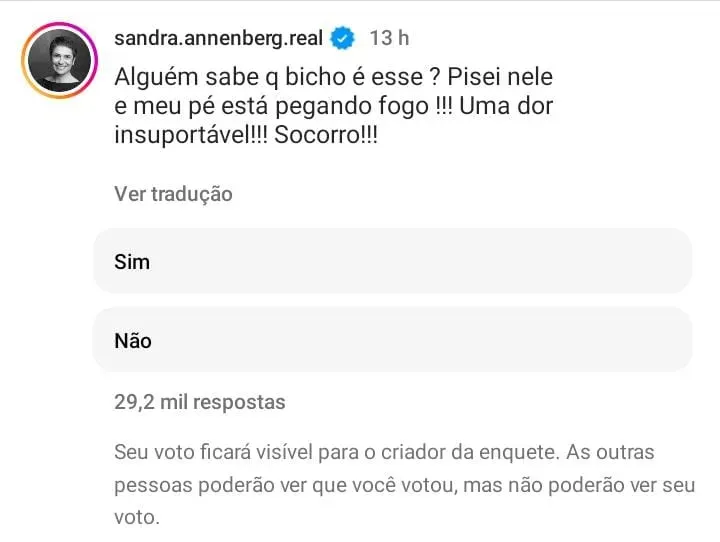 Comentário Sandra – Foto: Instagram Sandra