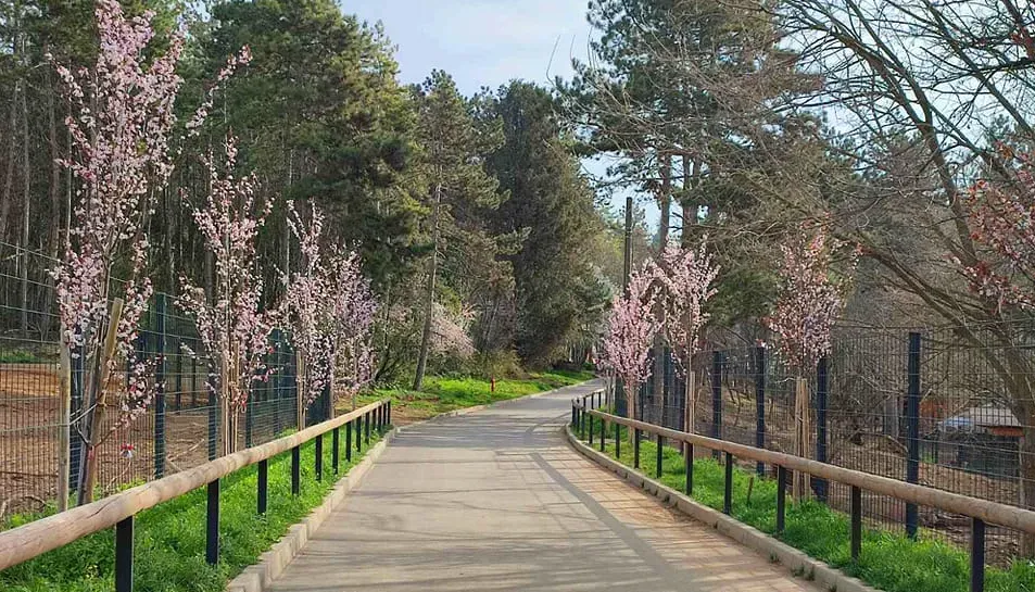 Imagen: Зоопарк Стара Загора / Zoo Stara Zagora vía Facebook