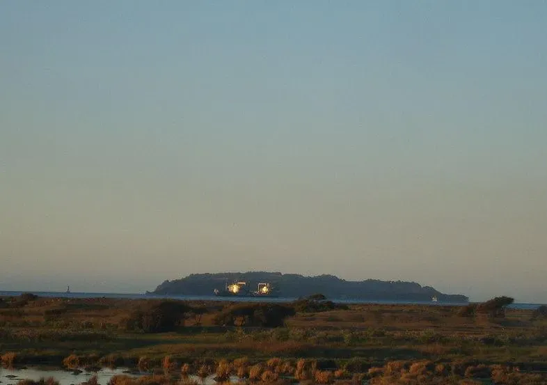 Isla Quiriquina | Foto: Wikimedia Commons