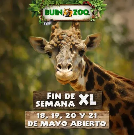 Foto: Buin Zoo.