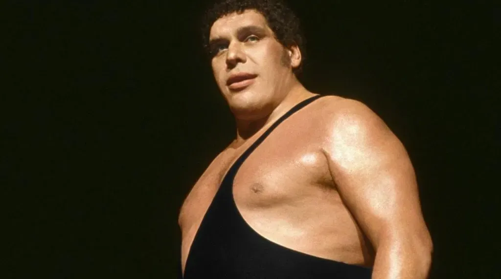Andre the Giant (WWE)